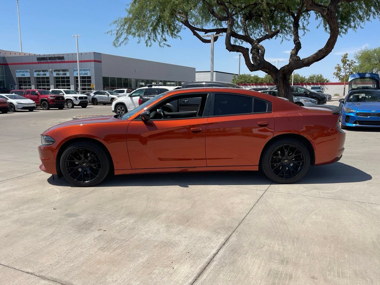 Used 2020 Dodge Charger SXT w/ Blacktop Package RWD image 5