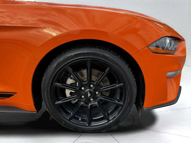 Used 2020 Ford Mustang Premium w/ Equipment Group 201A image 42