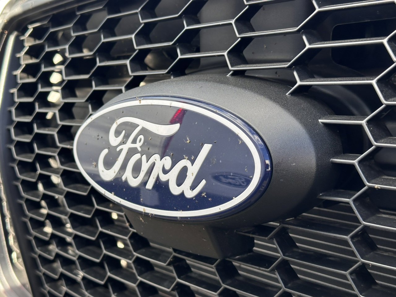 New 2026 Ford Transit 150 Low Roof AWD w/ Load Area Protection Package image 14