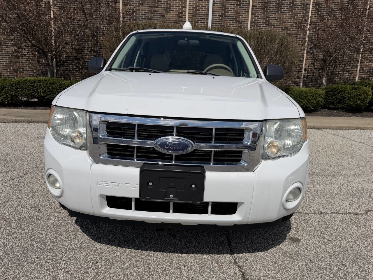 Used 2008 Ford Escape XLT AWD/4WD image 4