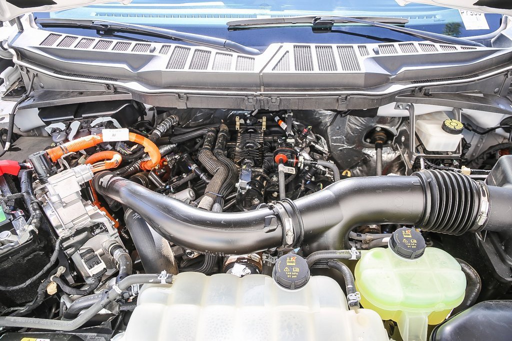 Used 2024 Ford F150 XLT w/ Mobile Office Package image 28