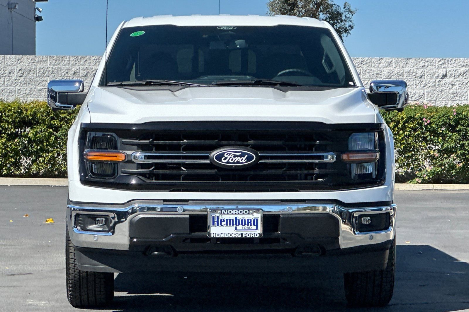 Used 2025 Ford F150 XLT w/ Equipment Group 302A MID image 9