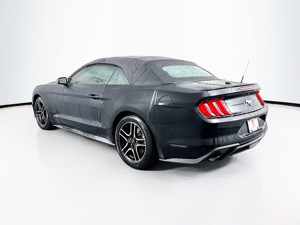 Used 2019 Ford Mustang Premium image 7