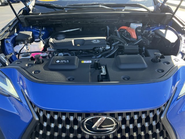 Certified 2025 Lexus NX 350h AWD w/ Cold Area Package image 24