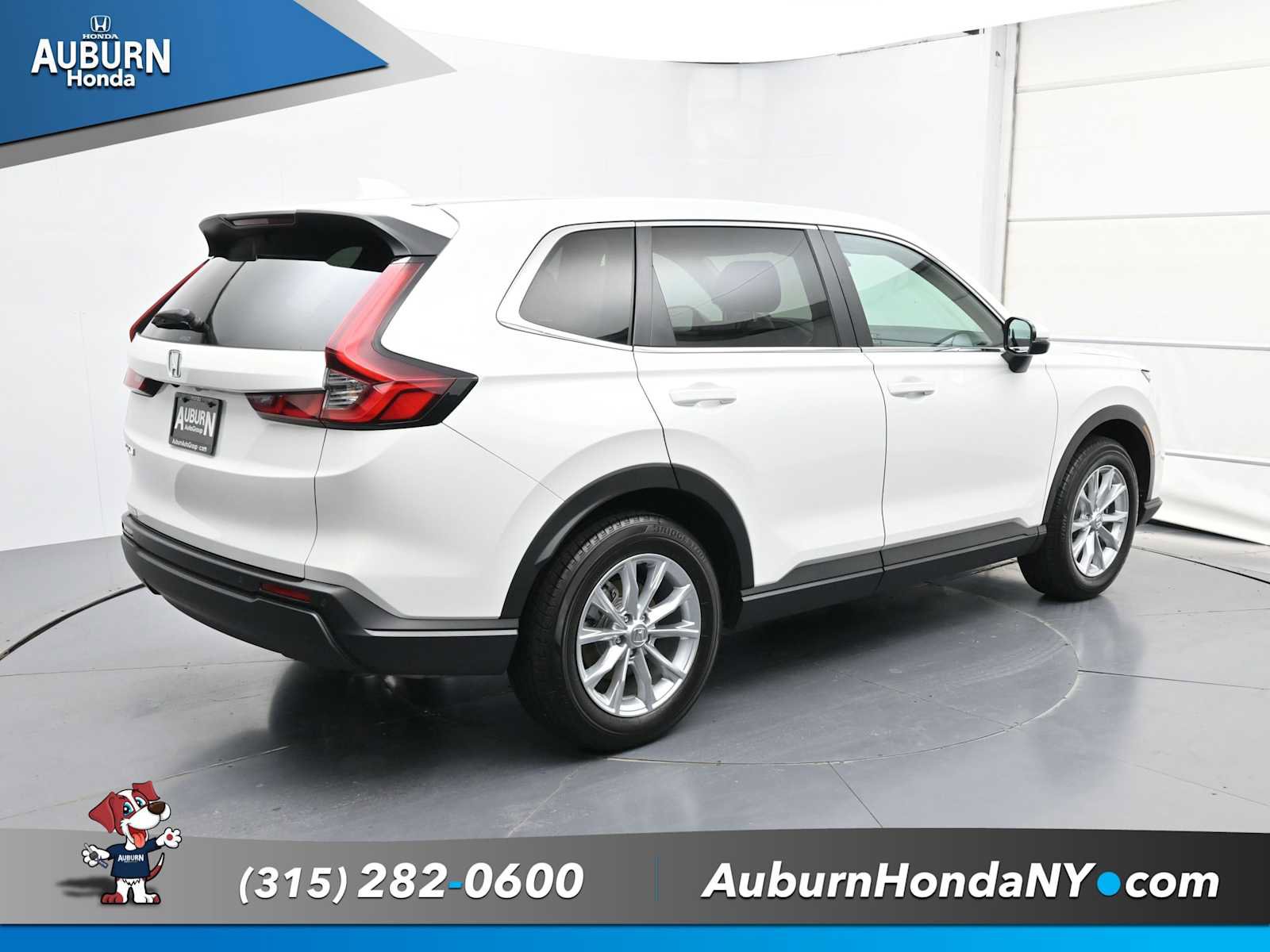 Used 2025 Honda CR-V EX-L image 9