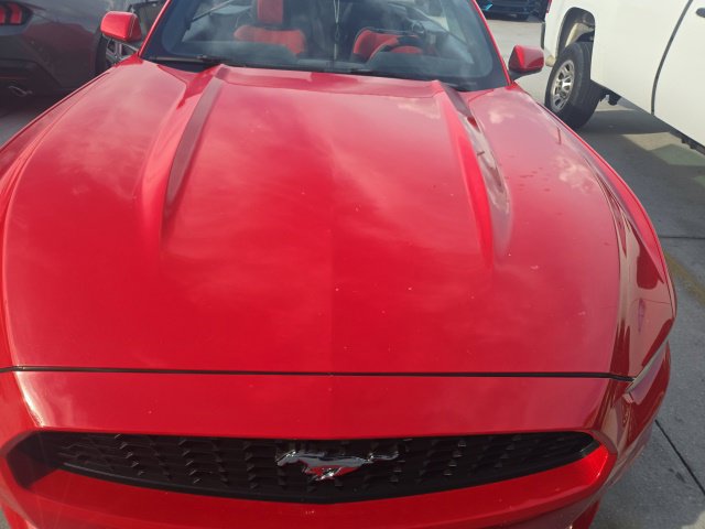 Used 2017 Ford Mustang Convertible w/ Equipment Group 051A RWD image 3