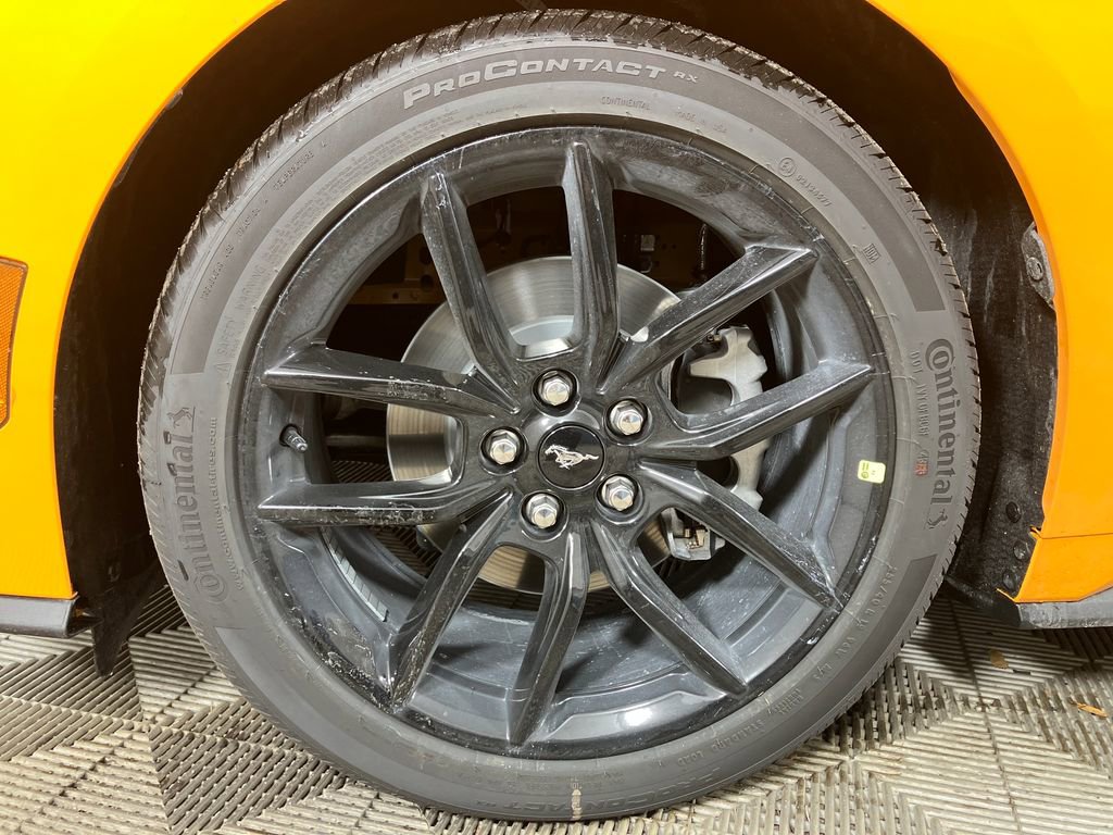 New 2026 Ford Mustang Coupe image 13