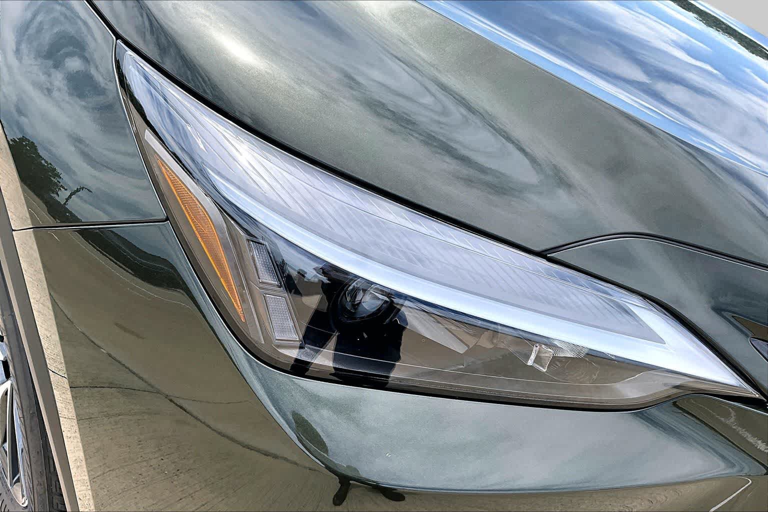 New 2026 Lexus NX 350 AWD w/ Cold Area Package image 13