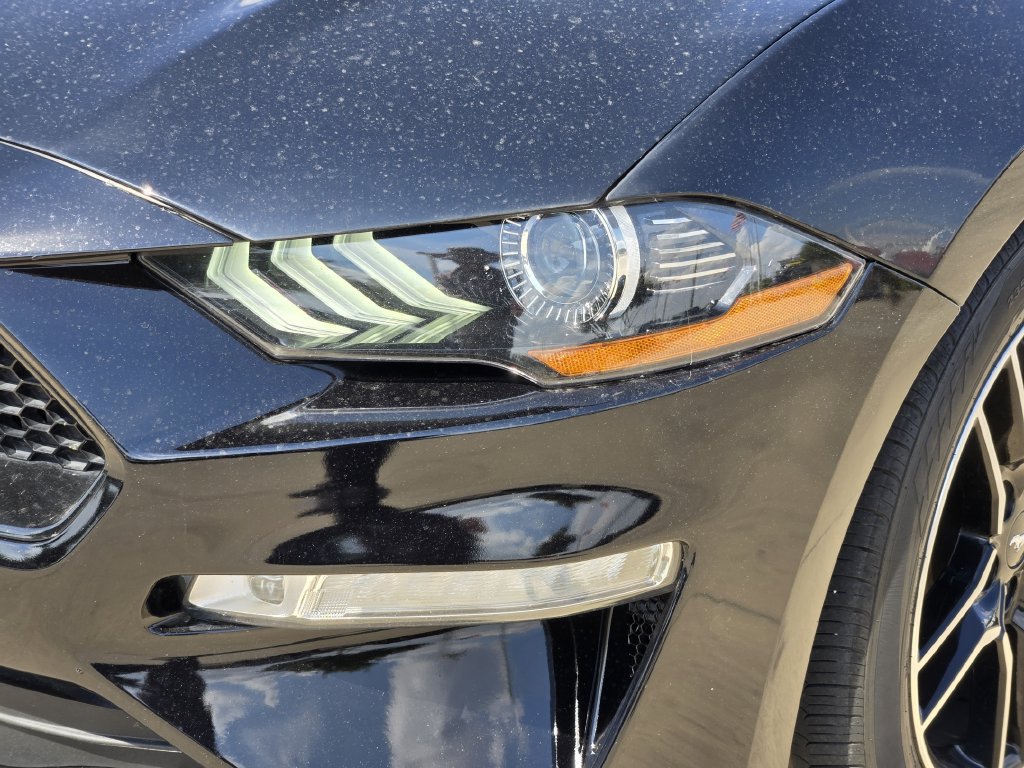 Used 2018 Ford Mustang GT Premium w/ Equipment Group 401A RWD image 6