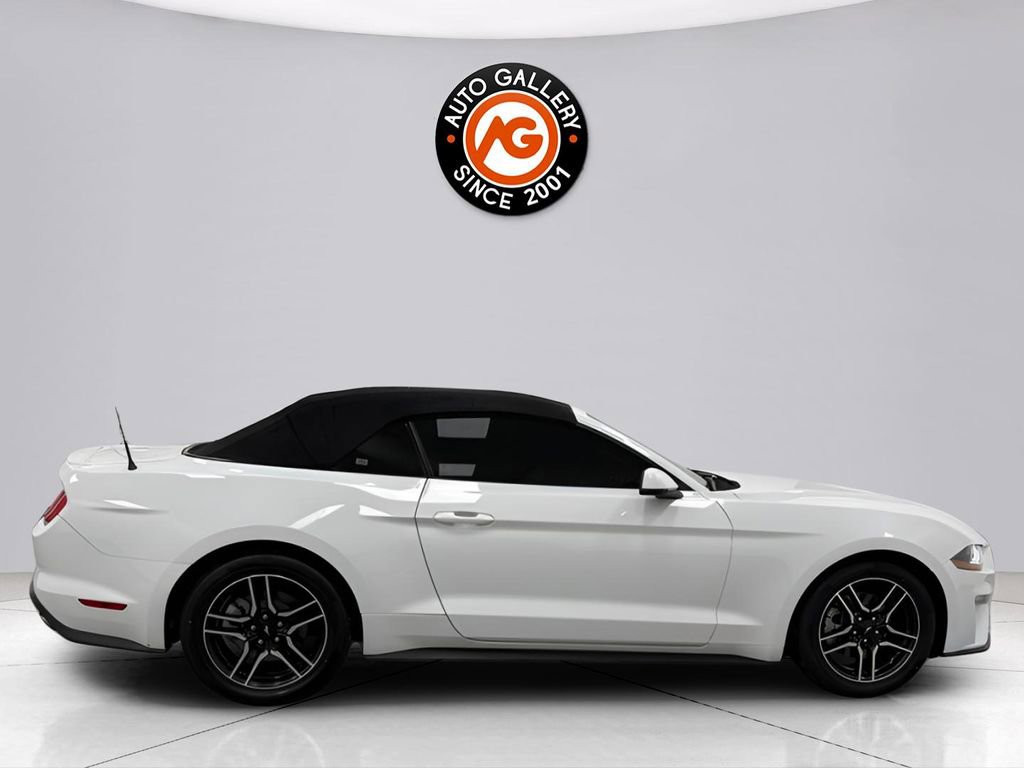 Used 2019 Ford Mustang Premium image 14