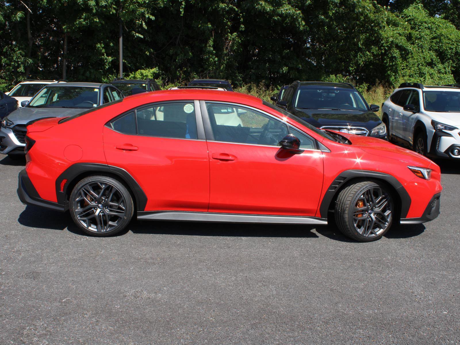 New 2025 Subaru WRX tS w/ Popular Package #2A image 12