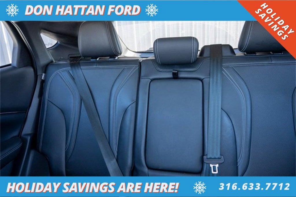 Used 2021 Ford Mustang Mach-E Premium image 20