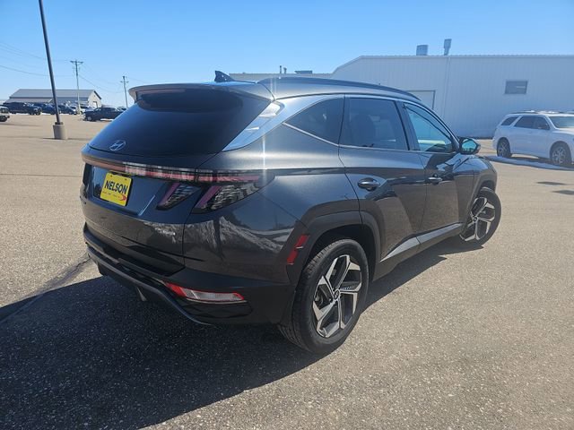 Used 2022 Hyundai Tucson Limited image 5