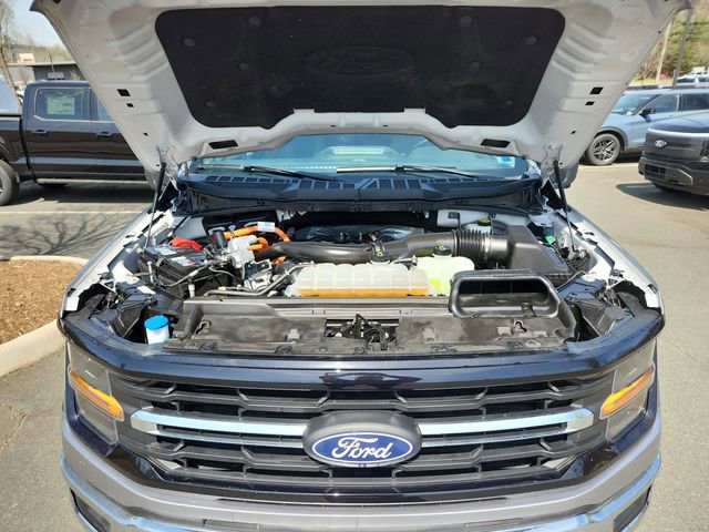 Certified 2024 Ford F150 XLT w/ Mobile Office Package image 20