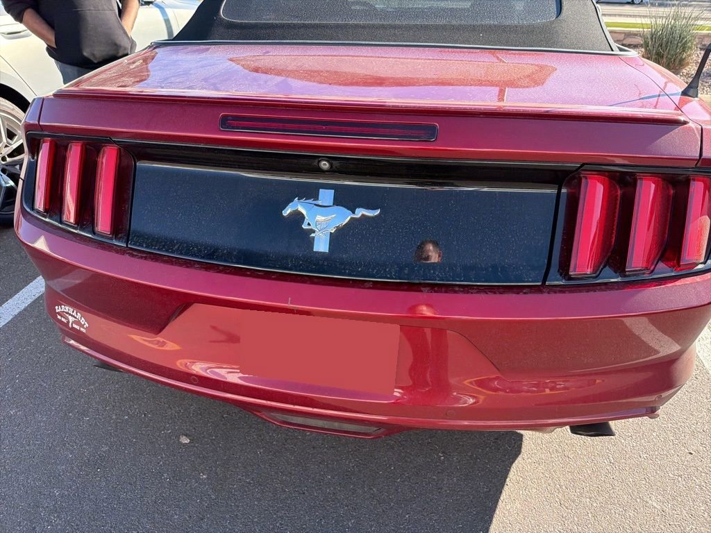 Used 2015 Ford Mustang Convertible w/ Equipment Group 051A image 5