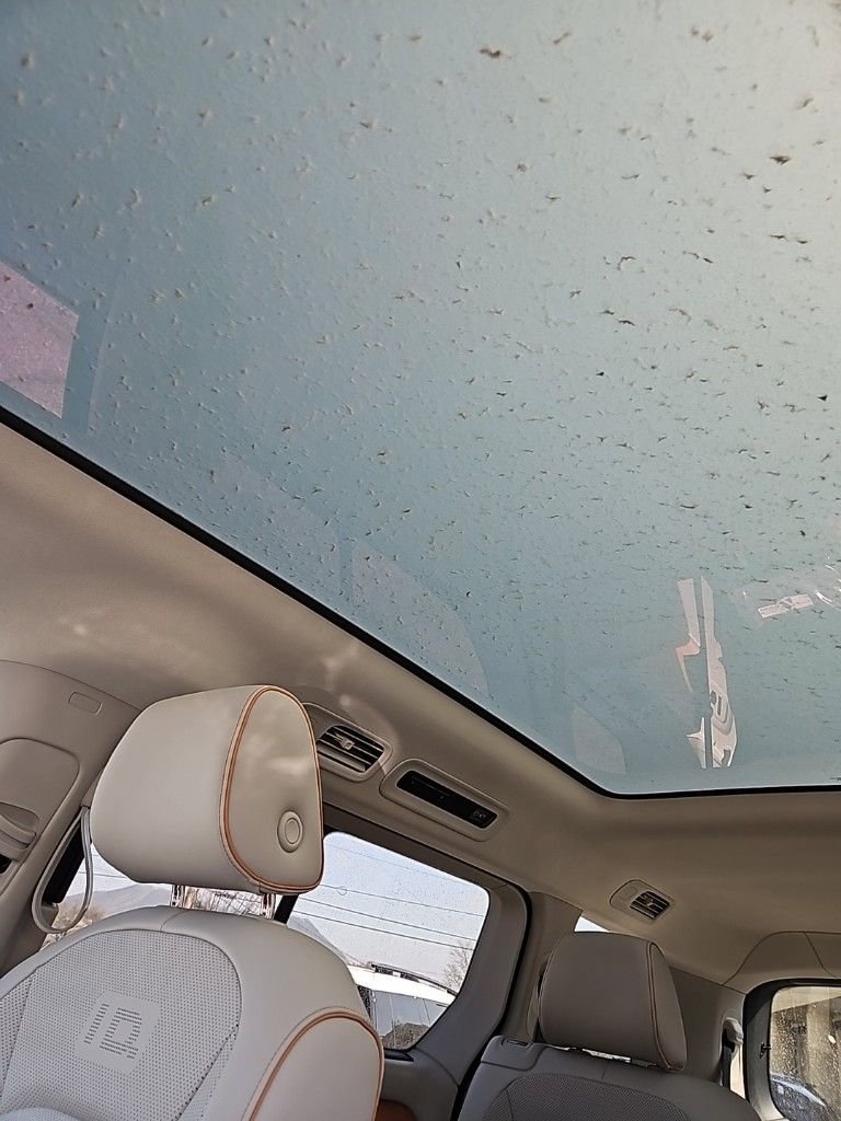 New 2025 Volkswagen ID. Buzz 1st Edition image 19