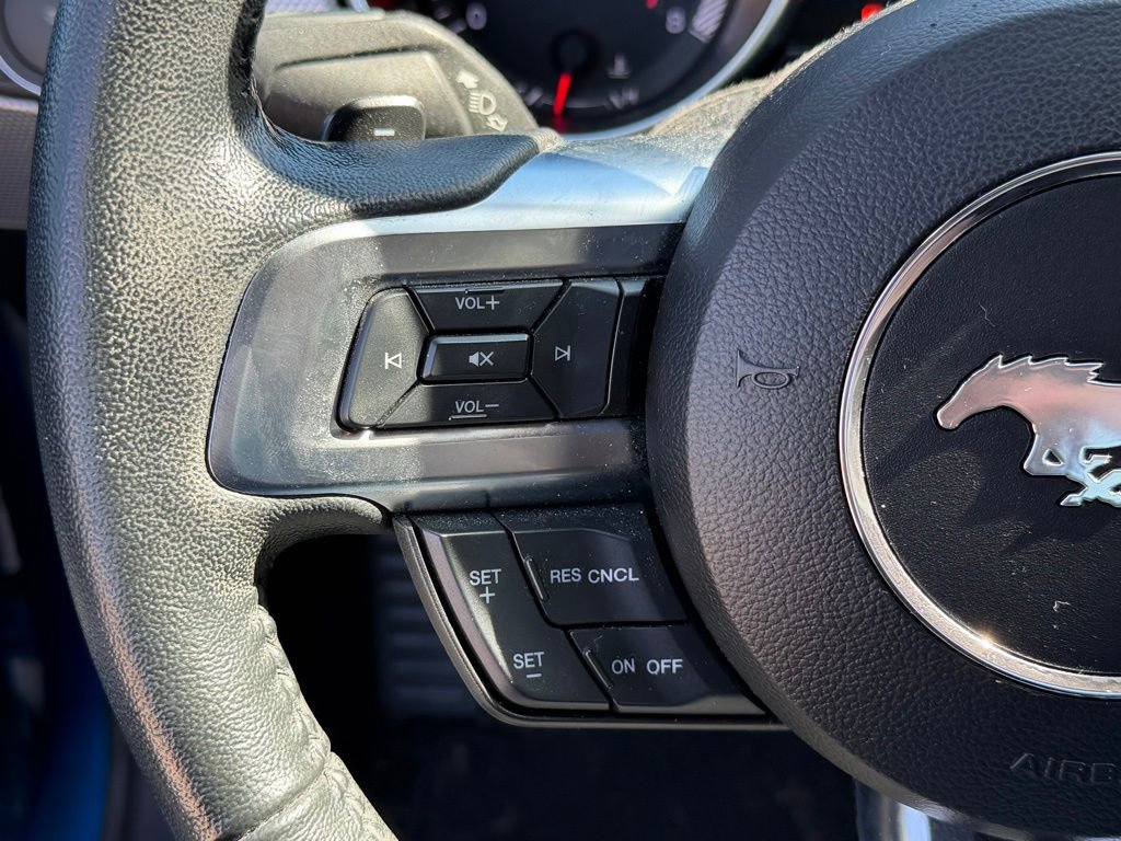 Used 2019 Ford Mustang EcoBoost w/ Equipment Group 101A image 14