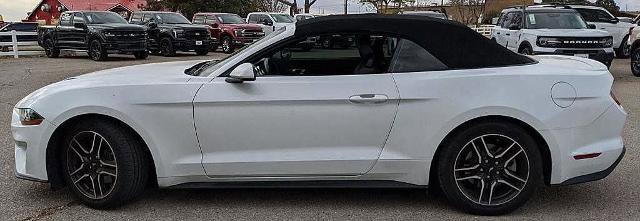 Certified 2023 Ford Mustang Premium RWD image 5