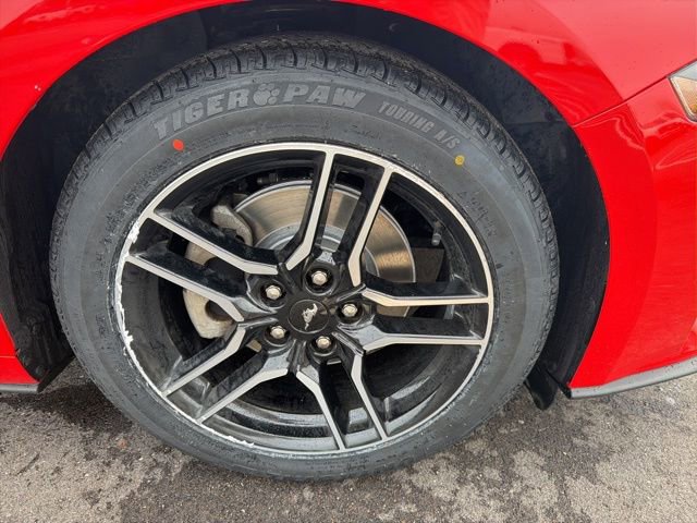 Used 2020 Ford Mustang Premium RWD image 7