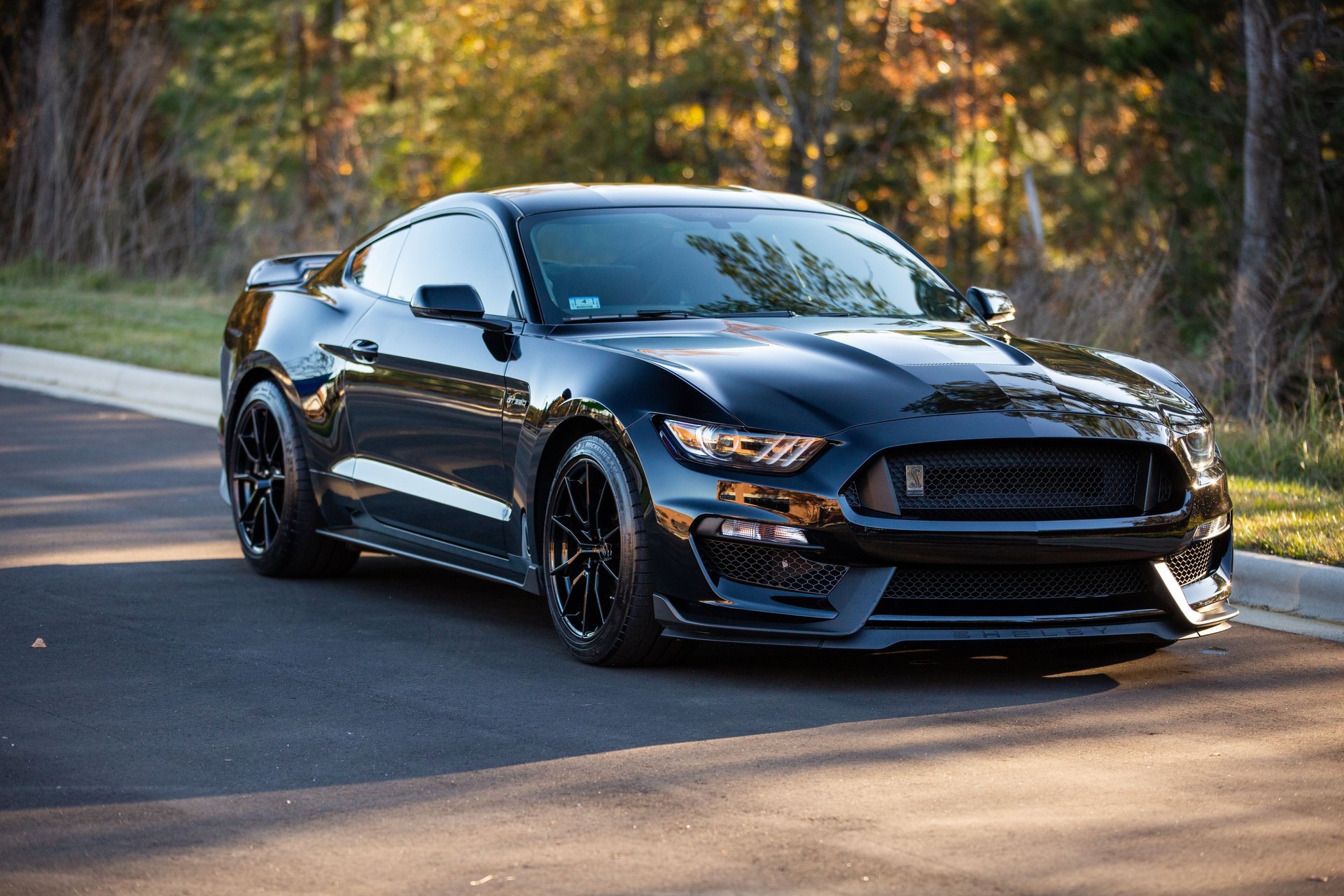 Used 2019 Ford Mustang Shelby GT350 w/ Technology Package image 8