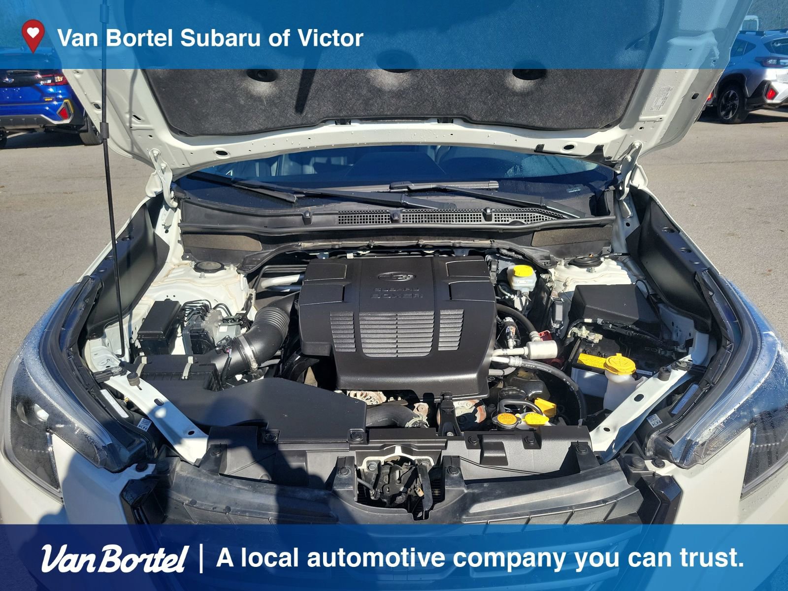 Used 2023 Subaru Forester Limited image 10