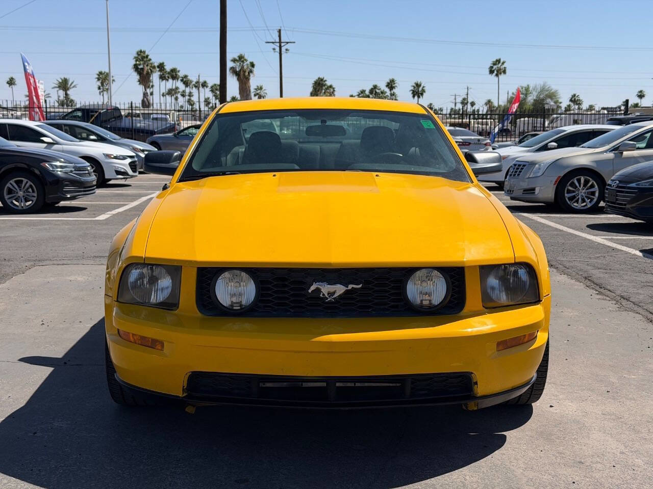 Used 2006 Ford Mustang GT RWD image 14