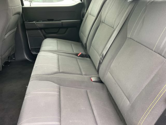 Used 2025 Ford F150 STX w/ Equipment Group 200A RWD image 32