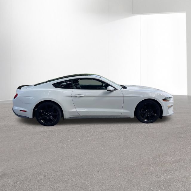 Used 2018 Ford Mustang Coupe w/ Equipment Group 101A RWD image 6