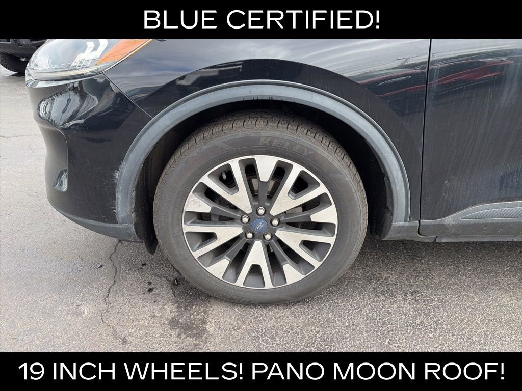 Used 2020 Ford Escape SEL image 4