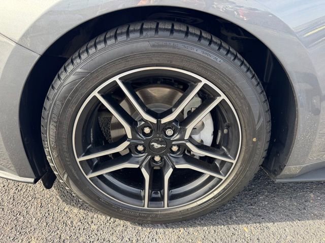 Used 2021 Ford Mustang Premium image 12