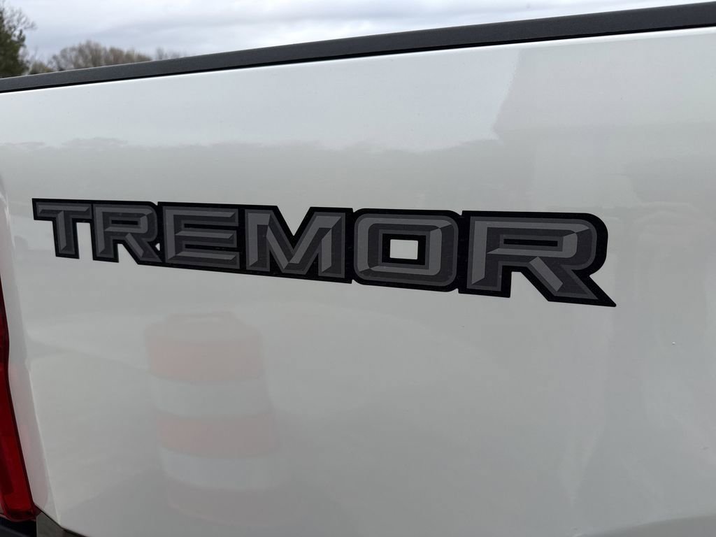 Used 2025 Ford F350 King Ranch w/ Tremor Off-Road Package image 12