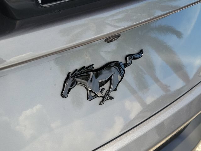 Used 2024 Ford Mustang Coupe w/ Mustang Nite Pony Package RWD image 6
