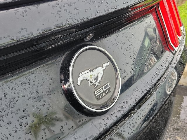 Used 2015 Ford Mustang Premium w/ 50 Years Appearance Package RWD image 5