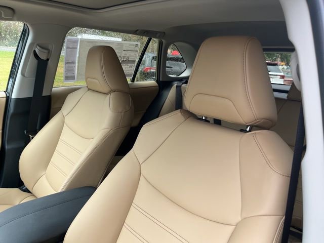 New 2025 Toyota RAV4 XLE Premium image 12