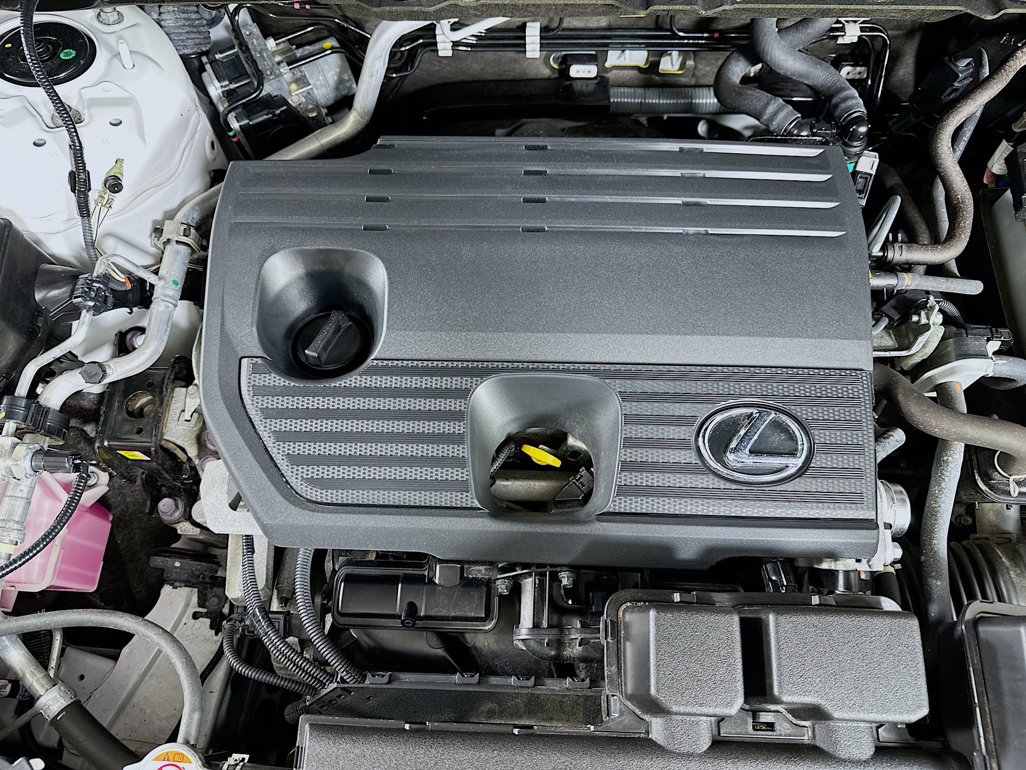 Used 2024 Lexus NX 250 FWD w/ Cold Area Package image 33