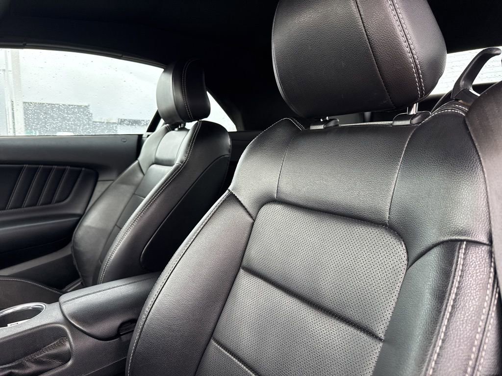 Used 2023 Ford Mustang Premium image 12