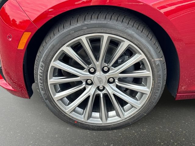 New 2026 Cadillac CT5 Premium Luxury w/ Technology Package RWD image 10