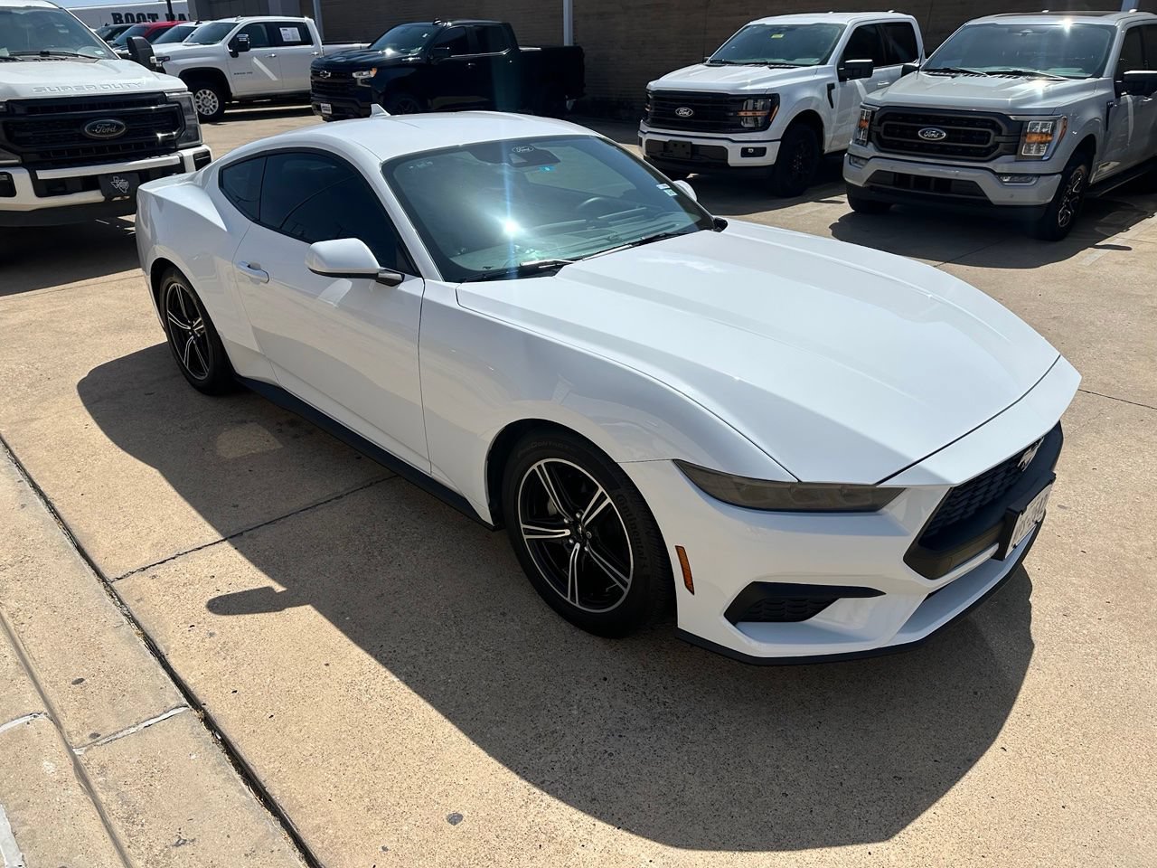Used 2025 Ford Mustang Coupe RWD image 1