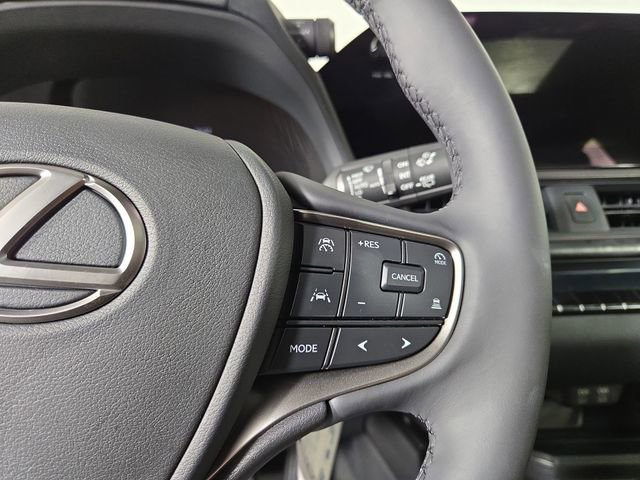 New 2025 Lexus UX 300h AWD image 24