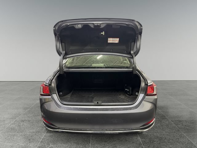 Used 2019 Lexus ES 300h w/ Accessory Package FWD image 13