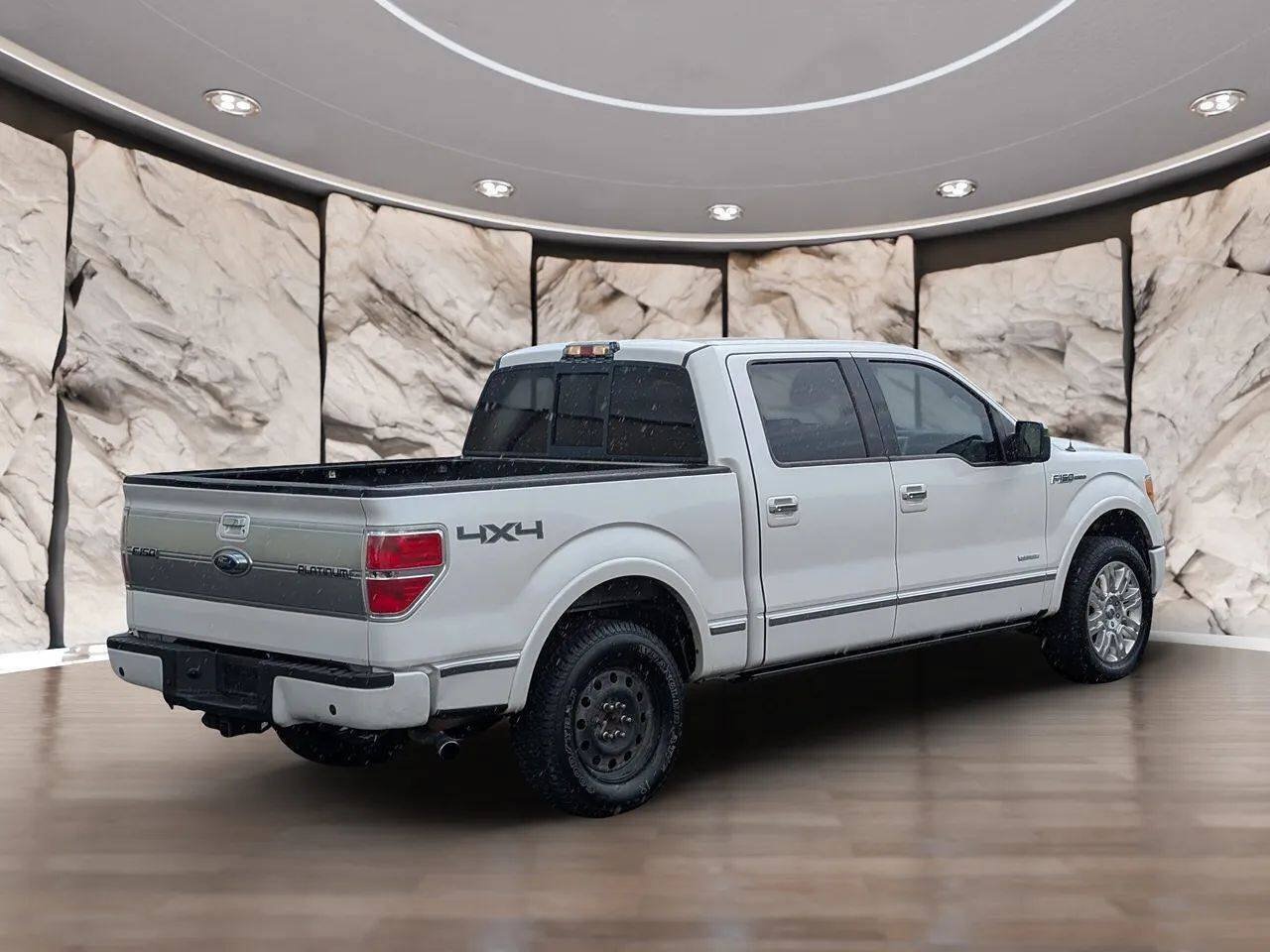 Used 2011 Ford F150 Platinum AWD/4WD image 15