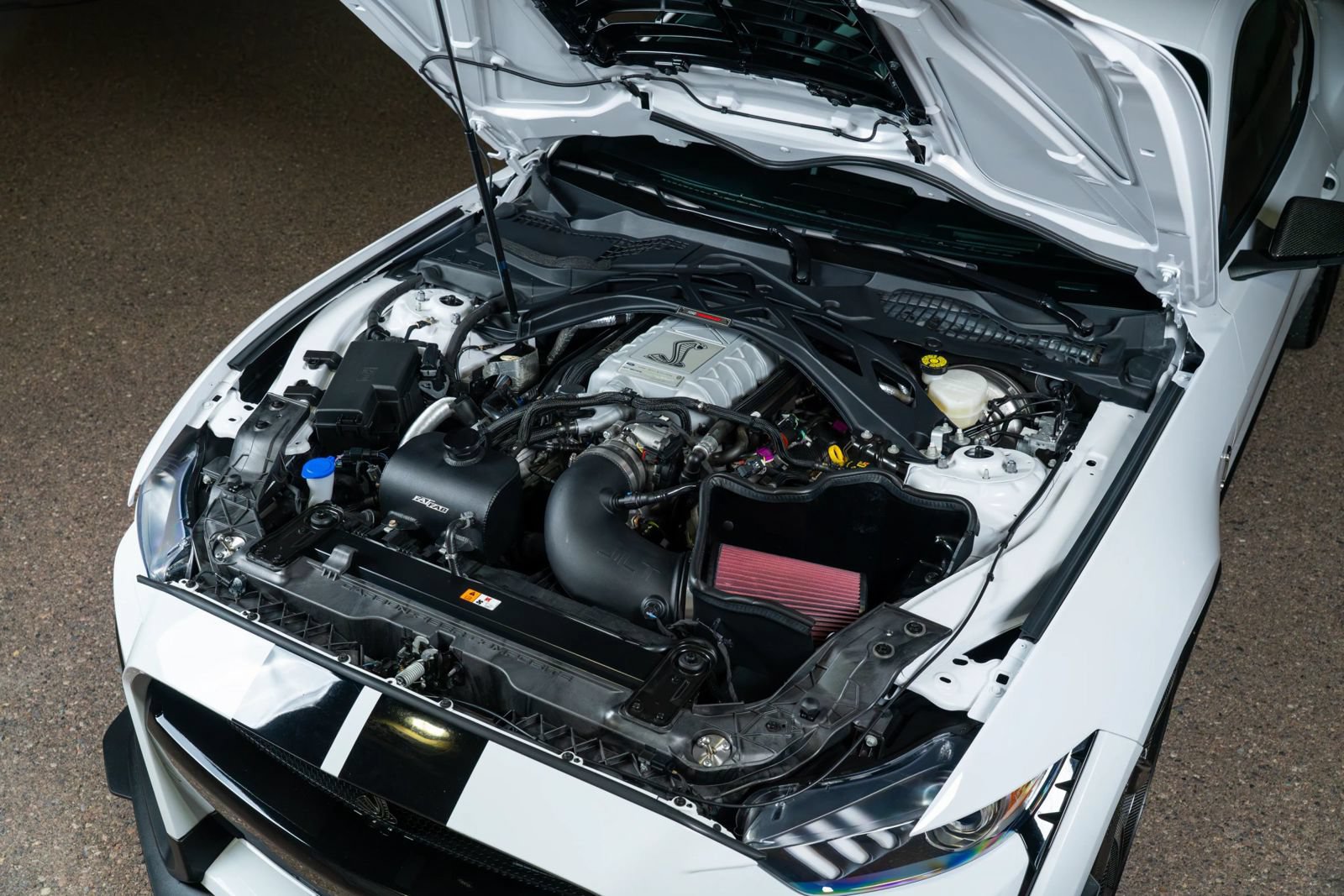 Used 2021 Ford Mustang Shelby GT500 RWD image 96
