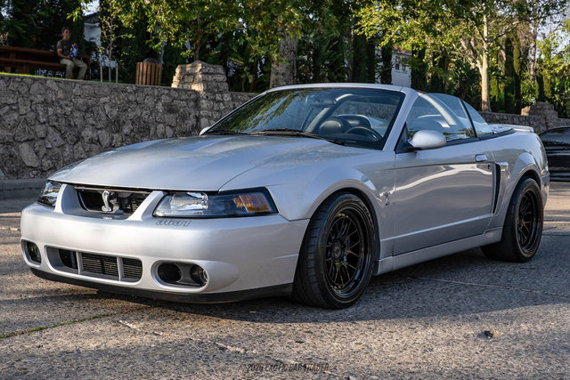 Used 2003 Ford Mustang Cobra image 14