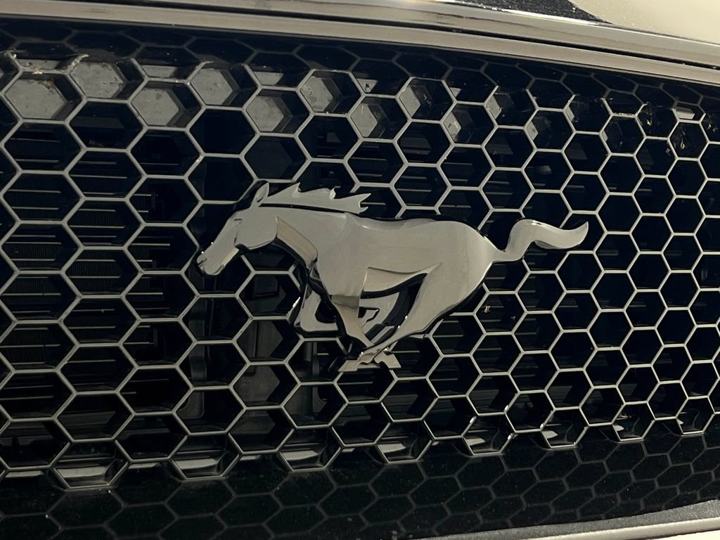 Used 2019 Ford Mustang GT Premium w/ Equipment Group 401A RWD image 40