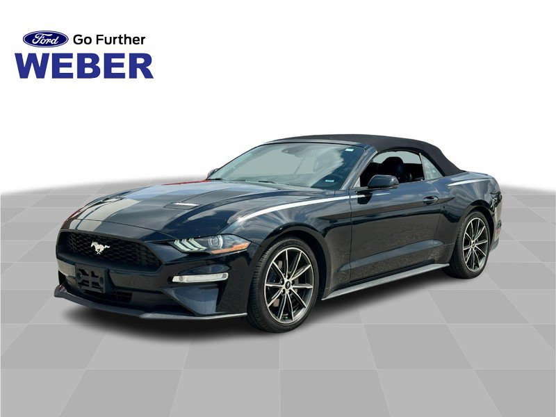 Used 2019 Ford Mustang Premium w/ Equipment Group 201A