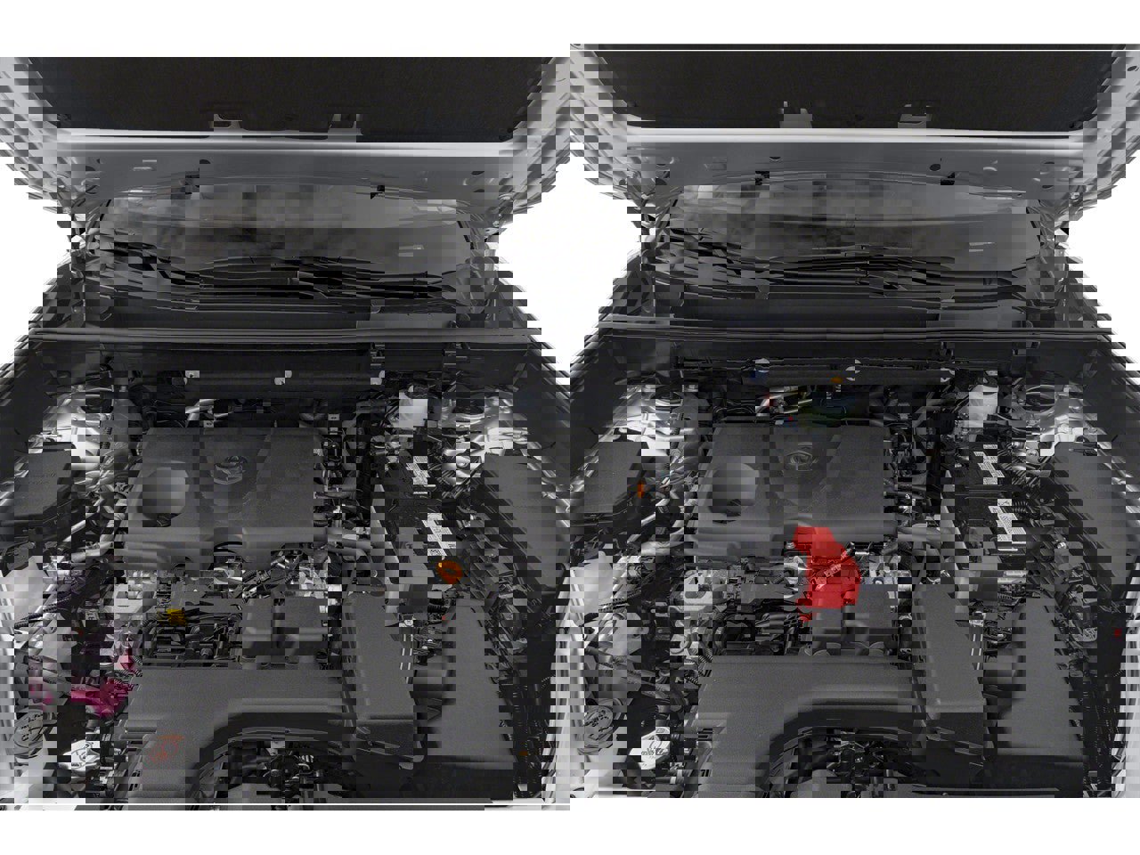 New 2025 Toyota RAV4 XLE Premium image 29