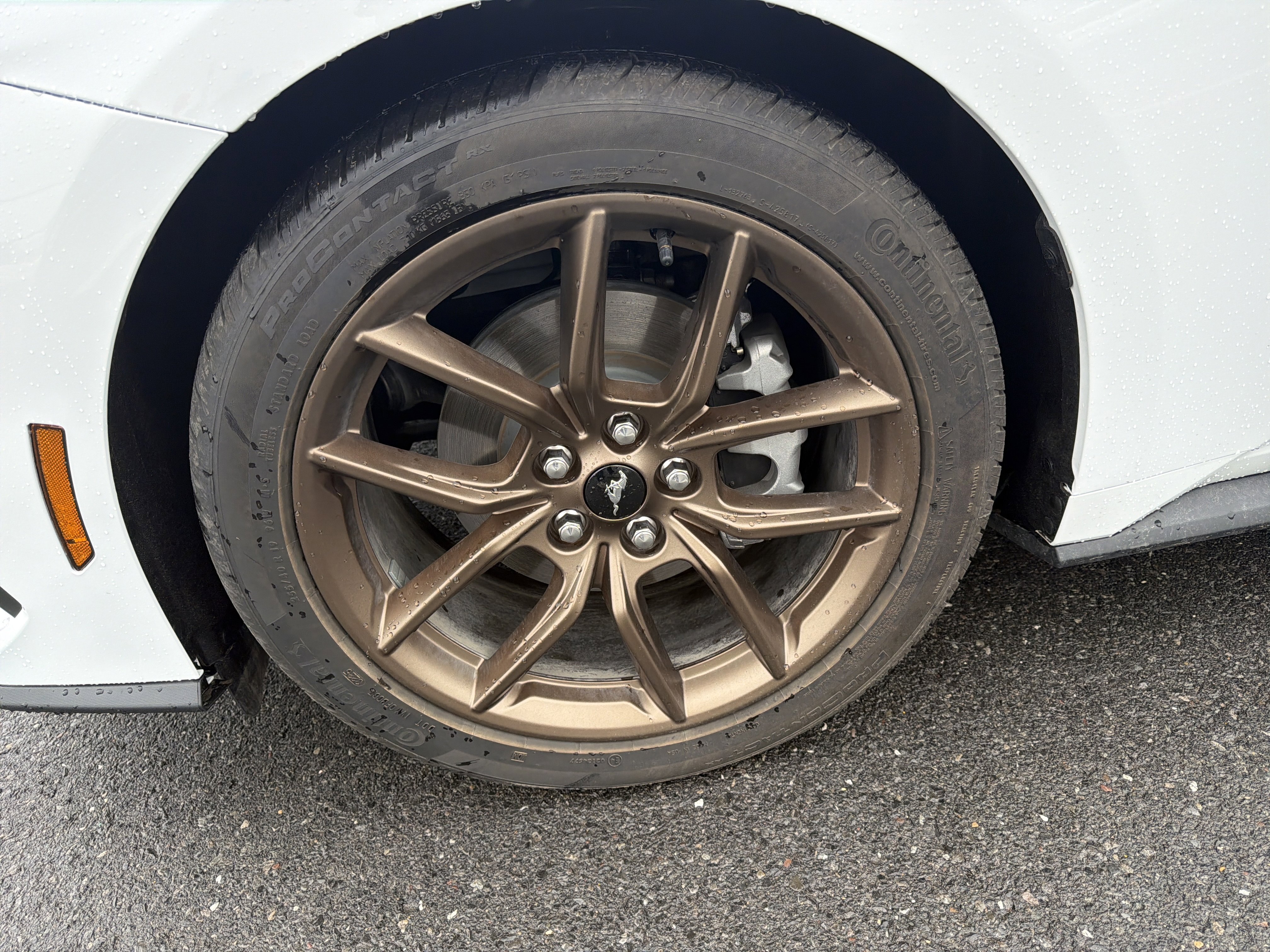 Used 2026 Ford Mustang EcoBoost image 11