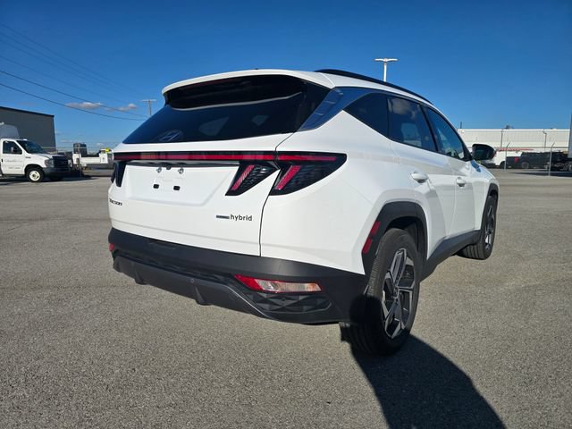 Used 2023 Hyundai Tucson Limited AWD/4WD image 3