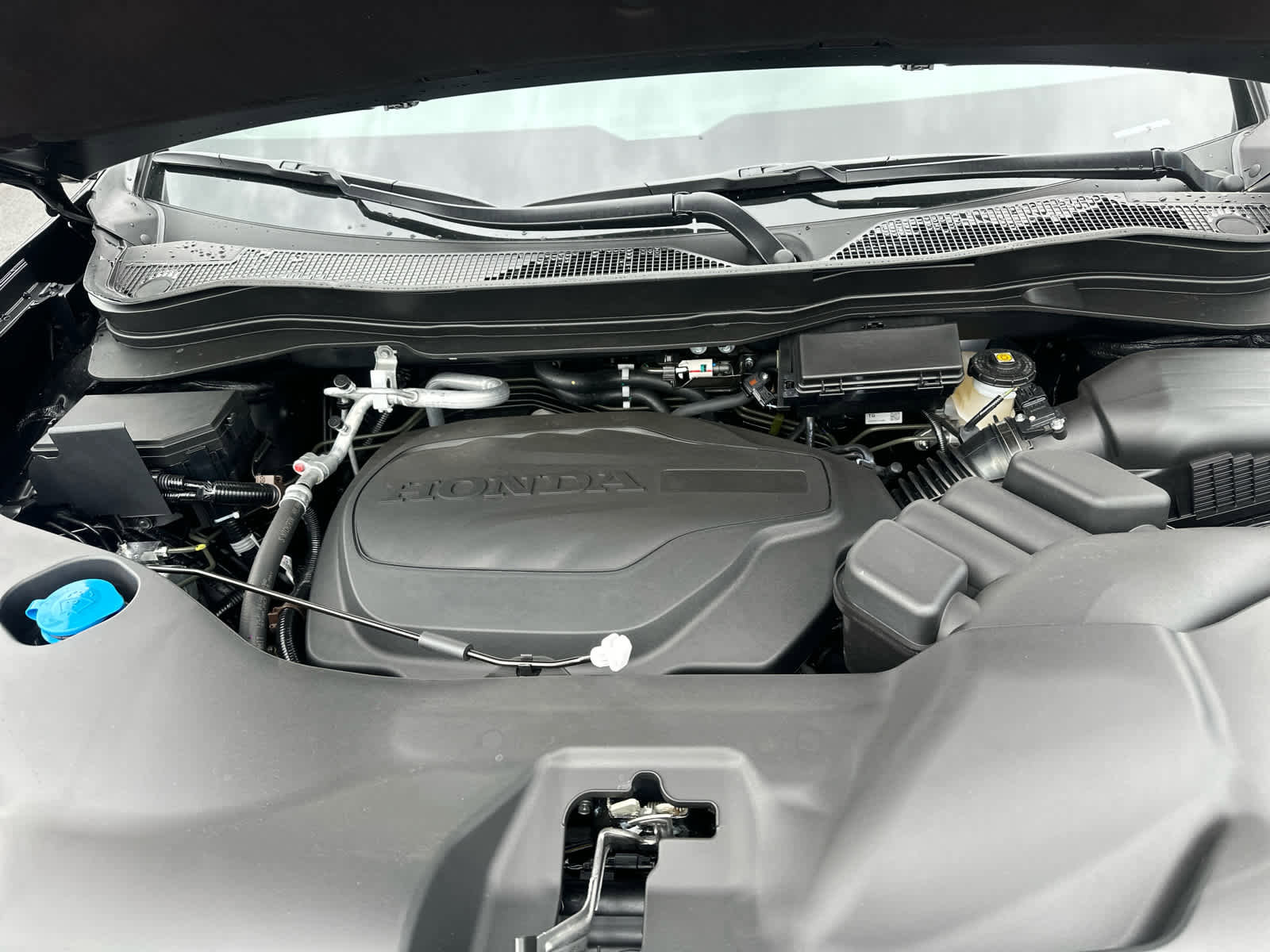 New 2026 Honda Ridgeline TrailSport image 18