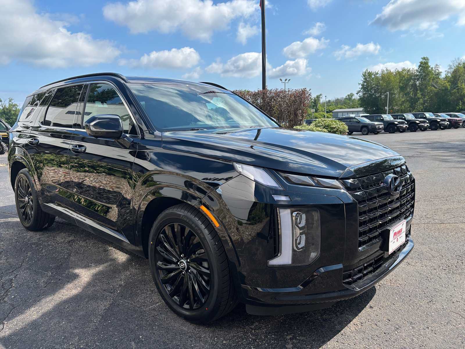 Used 2025 Hyundai Palisade Calligraphy AWD/4WD image 10